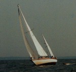 Willow beating to windward (30 KB)